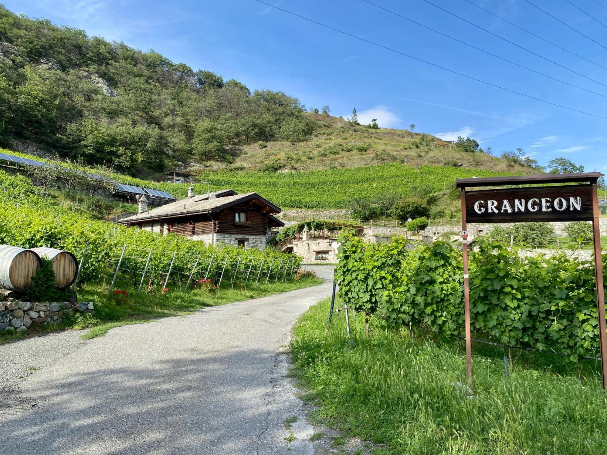 La Vrille - Chambres D'Hotes Verrayes Zewnętrze zdjęcie